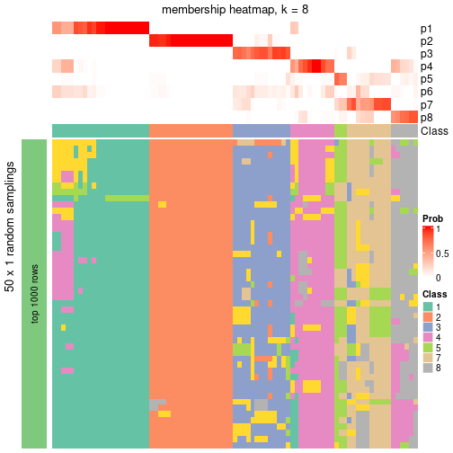 plot of chunk tab-node-04-membership-heatmap-7