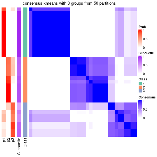 plot of chunk tab-node-041-consensus-heatmap-2