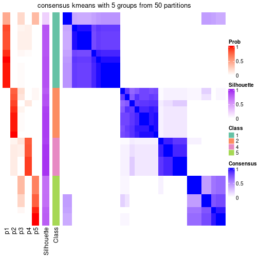 plot of chunk tab-node-041-consensus-heatmap-4