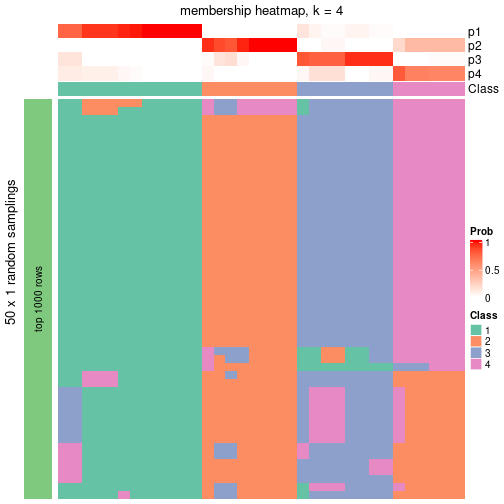 plot of chunk tab-node-041-membership-heatmap-3