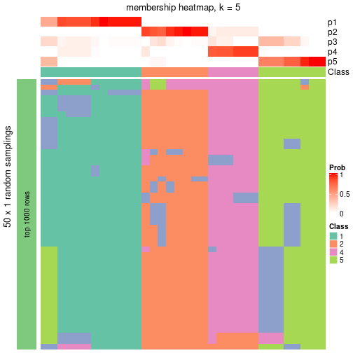 plot of chunk tab-node-041-membership-heatmap-4