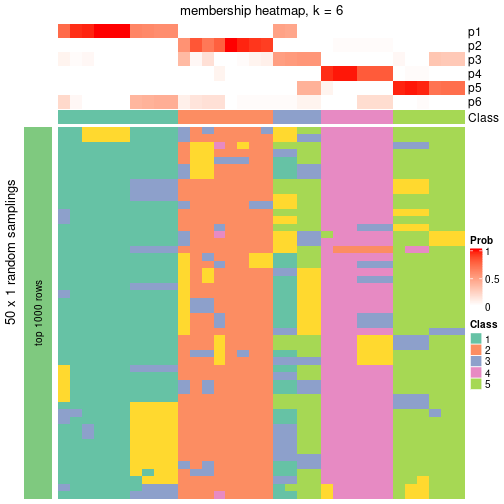 plot of chunk tab-node-041-membership-heatmap-5