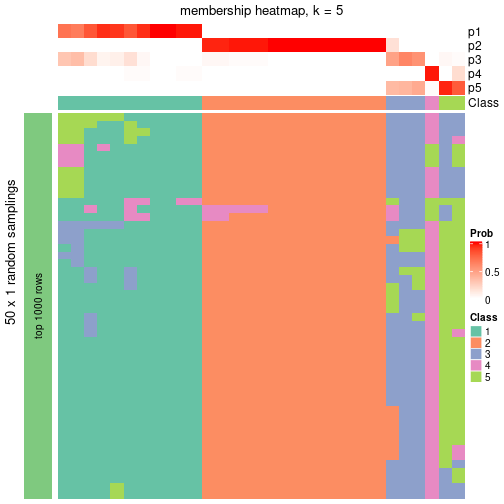 plot of chunk tab-node-042-membership-heatmap-4