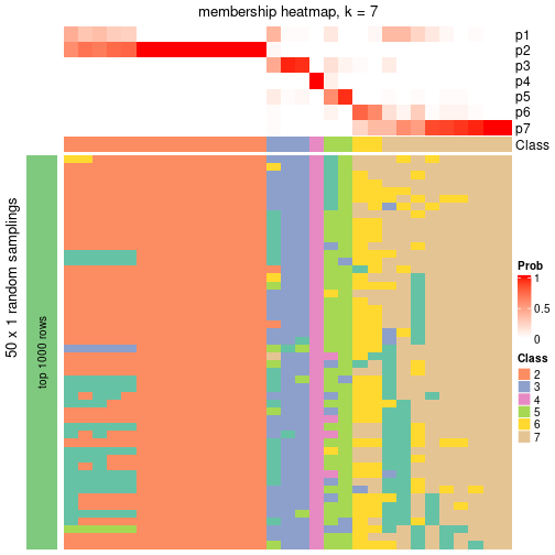 plot of chunk tab-node-042-membership-heatmap-6