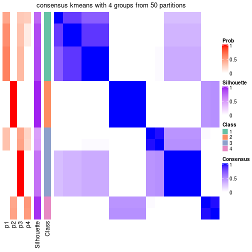 plot of chunk tab-node-043-consensus-heatmap-3