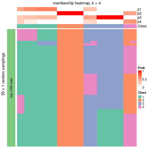 plot of chunk tab-node-043-membership-heatmap-3