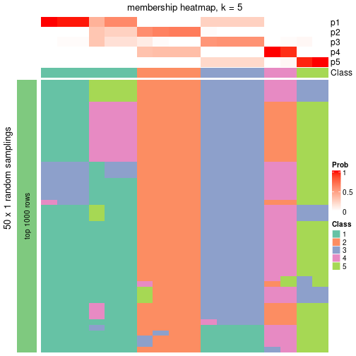 plot of chunk tab-node-043-membership-heatmap-4