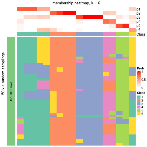 plot of chunk tab-node-043-membership-heatmap-5