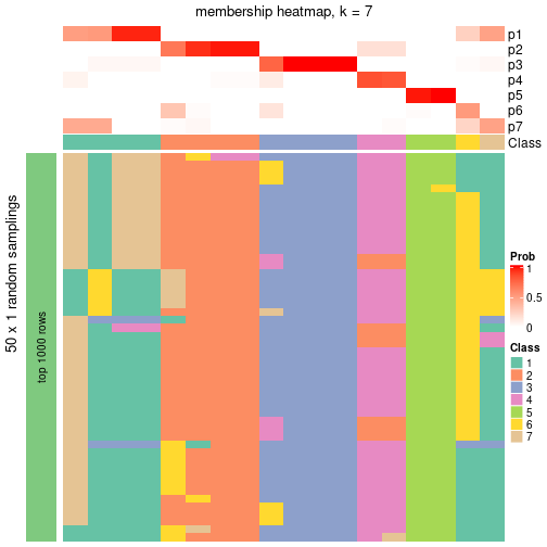 plot of chunk tab-node-043-membership-heatmap-6