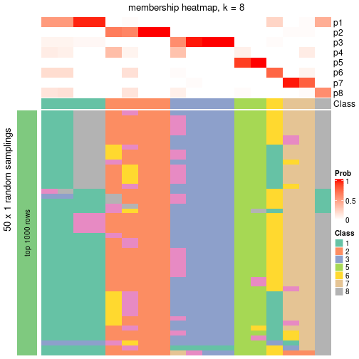 plot of chunk tab-node-043-membership-heatmap-7