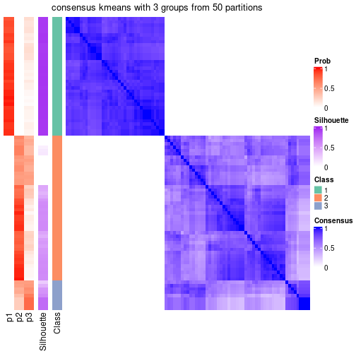 plot of chunk tab-node-05-consensus-heatmap-2