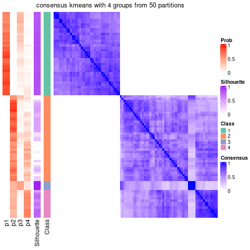 plot of chunk tab-node-05-consensus-heatmap-3