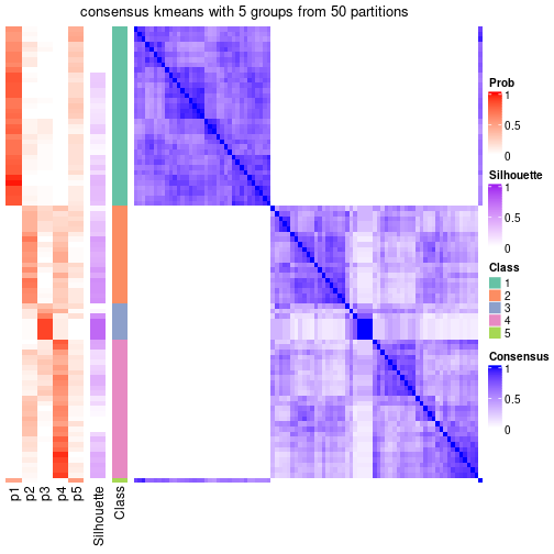 plot of chunk tab-node-05-consensus-heatmap-4