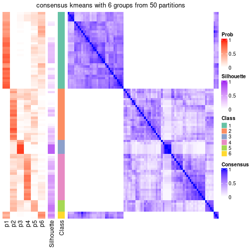 plot of chunk tab-node-05-consensus-heatmap-5