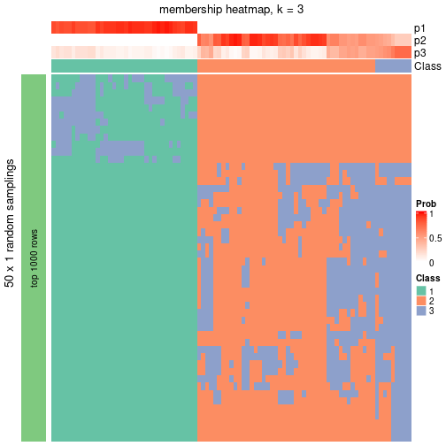 plot of chunk tab-node-05-membership-heatmap-2