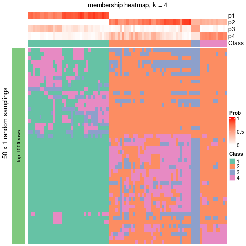 plot of chunk tab-node-05-membership-heatmap-3