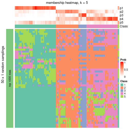 plot of chunk tab-node-05-membership-heatmap-4