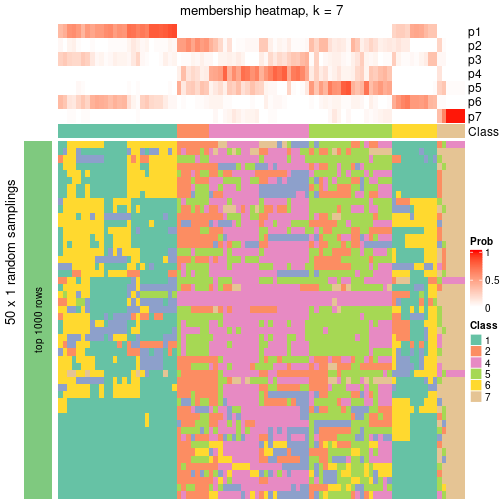 plot of chunk tab-node-05-membership-heatmap-6