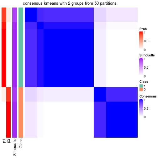 plot of chunk tab-node-051-consensus-heatmap-1