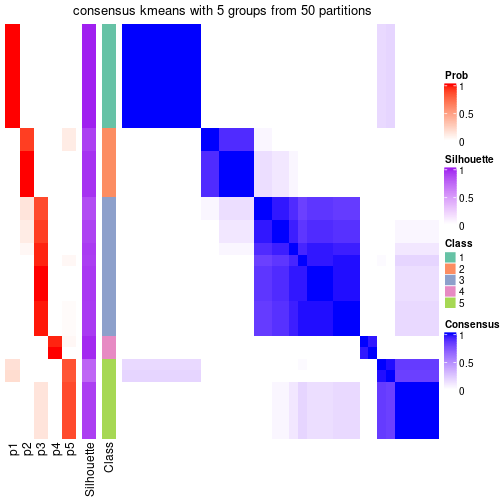 plot of chunk tab-node-051-consensus-heatmap-4