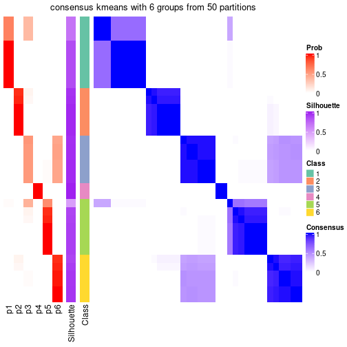 plot of chunk tab-node-051-consensus-heatmap-5