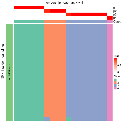 plot of chunk tab-node-051-membership-heatmap-3