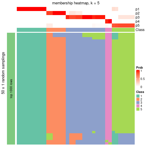 plot of chunk tab-node-051-membership-heatmap-4