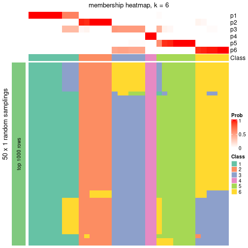 plot of chunk tab-node-051-membership-heatmap-5