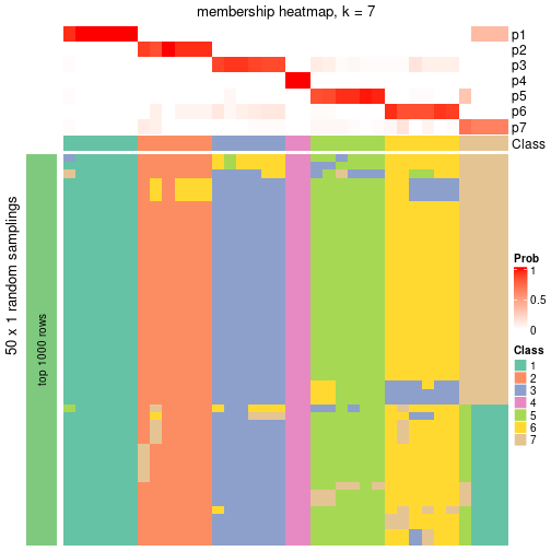 plot of chunk tab-node-051-membership-heatmap-6