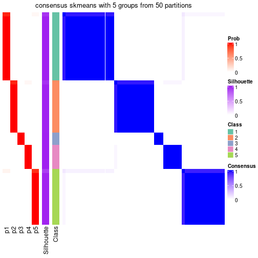 plot of chunk tab-node-052-consensus-heatmap-4