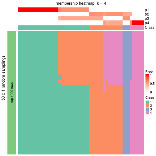 plot of chunk tab-node-052-membership-heatmap-3