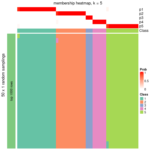 plot of chunk tab-node-052-membership-heatmap-4