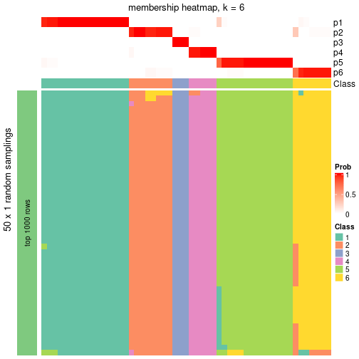 plot of chunk tab-node-052-membership-heatmap-5