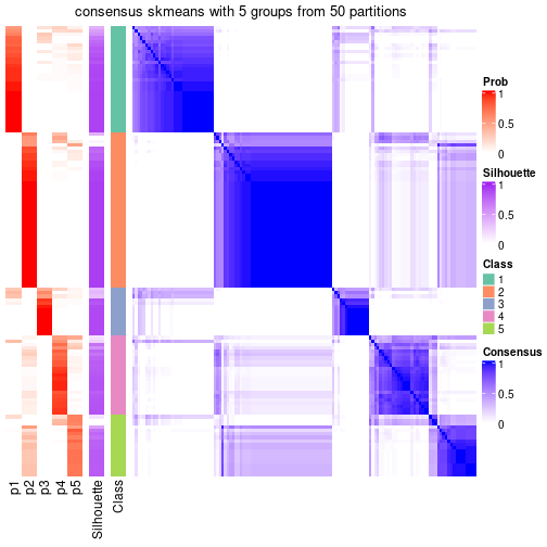 plot of chunk tab-node-06-consensus-heatmap-4