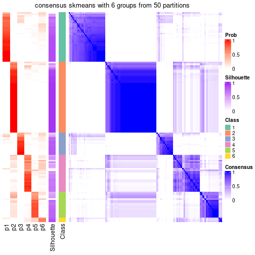 plot of chunk tab-node-06-consensus-heatmap-5