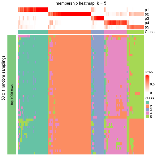 plot of chunk tab-node-06-membership-heatmap-4