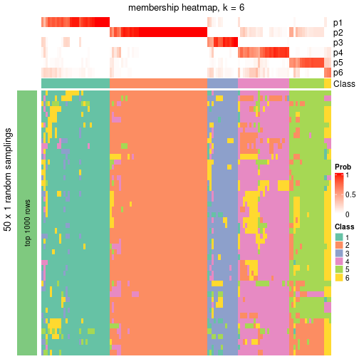 plot of chunk tab-node-06-membership-heatmap-5