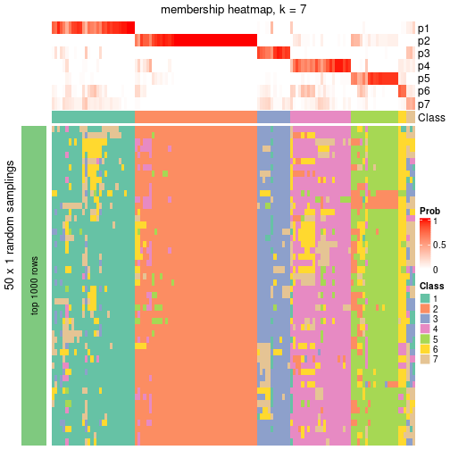 plot of chunk tab-node-06-membership-heatmap-6