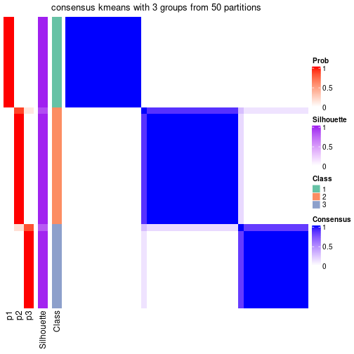 plot of chunk tab-node-061-consensus-heatmap-2