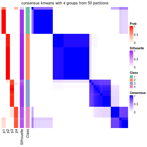 plot of chunk tab-node-061-consensus-heatmap-3