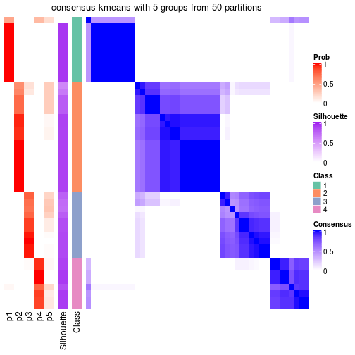 plot of chunk tab-node-061-consensus-heatmap-4