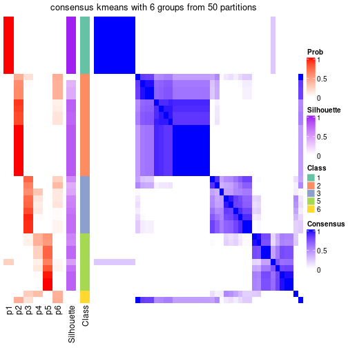 plot of chunk tab-node-061-consensus-heatmap-5