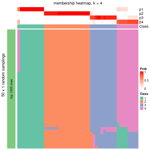 plot of chunk tab-node-061-membership-heatmap-3