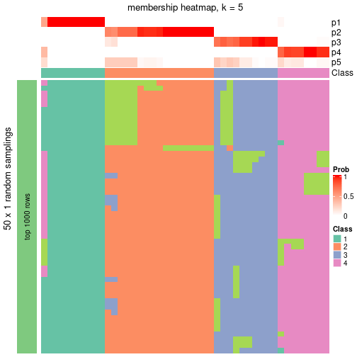 plot of chunk tab-node-061-membership-heatmap-4