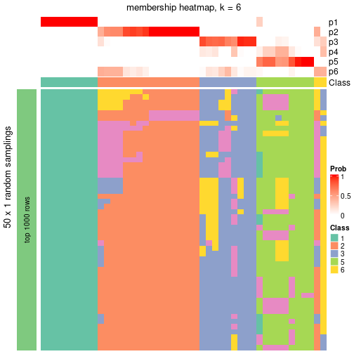 plot of chunk tab-node-061-membership-heatmap-5