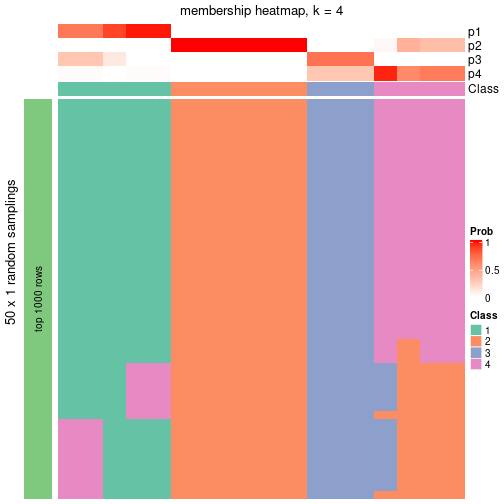 plot of chunk tab-node-0612-membership-heatmap-3