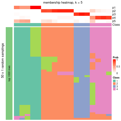 plot of chunk tab-node-0612-membership-heatmap-4