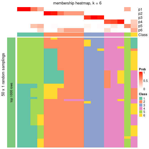 plot of chunk tab-node-0612-membership-heatmap-5