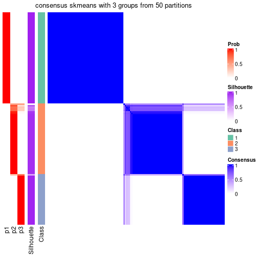 plot of chunk tab-node-07-consensus-heatmap-2