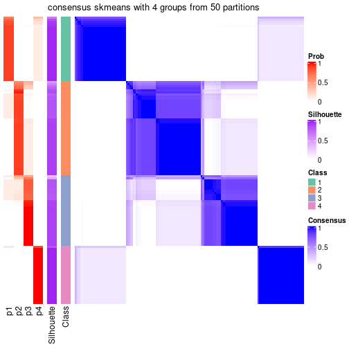 plot of chunk tab-node-07-consensus-heatmap-3